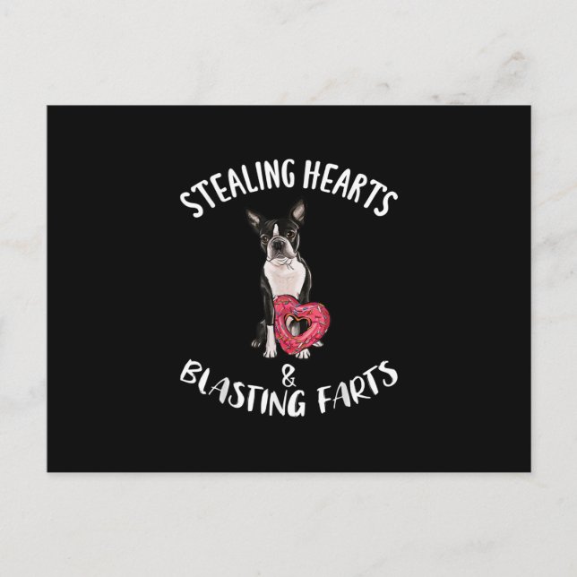Stealing Hearts Blasting Farts Boston Terrier Postcard (Front)