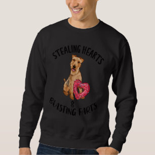 Stealing Hearts Blasting Farts Welsh Terrier Valen Sweatshirt