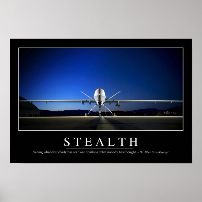 Stealth: Inspirational Quote Poster (Front)
