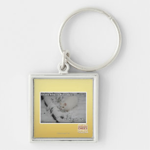 Stealth Kitty 1 Key Ring