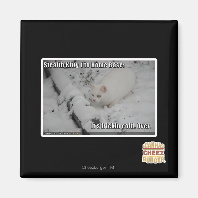 Stealth Kitty 1 Magnet (Front)