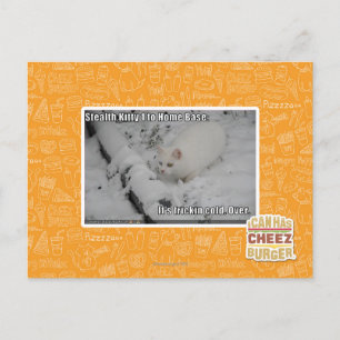 Stealth Kitty 1 Postcard