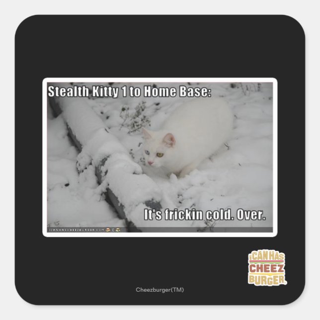 Stealth Kitty 1 Square Sticker (Front)