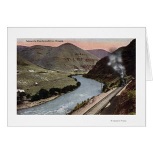 Steam Locomotives on Track