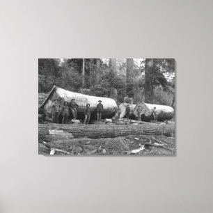 Steam Logging in the Cascades of Washington Stat Canvas Print