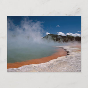 Steam rising from Champagne Pool at WAI-O-TAPU Postcard