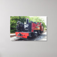 STEAM TRAIN