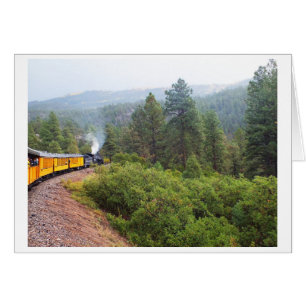 Steam train journey to Silverton