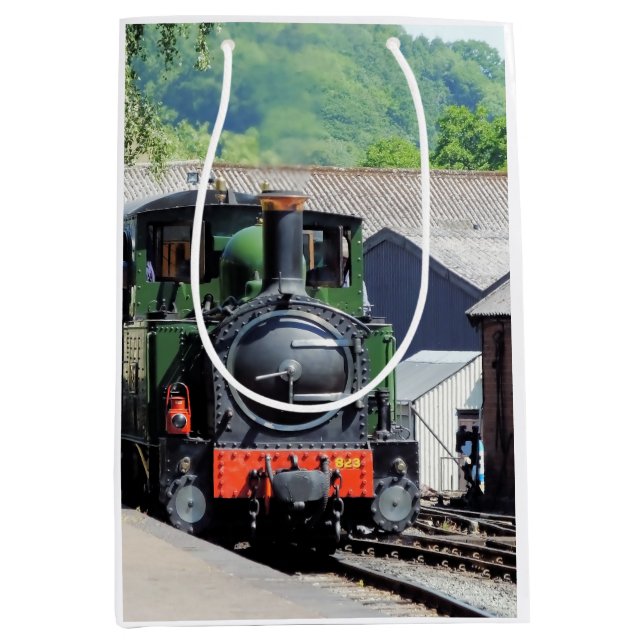 STEAM TRAIN   MEDIUM GIFT BAG (Front)
