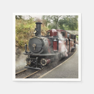 STEAM TRAIN NAPKIN