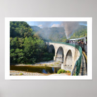 Steam train on bridge
