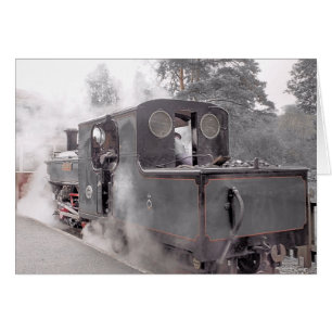 STEAM TRAINS