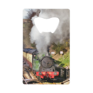 STEAM TRAINS