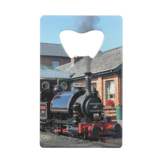 STEAM TRAINS