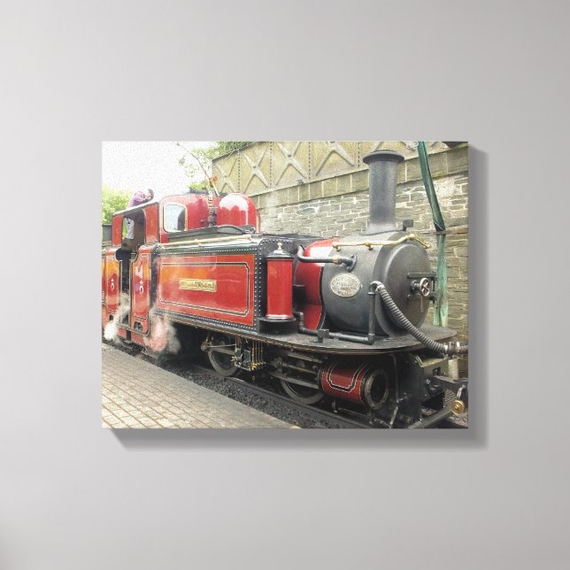 STEAM TRAINS CANVAS PRINT (Front)