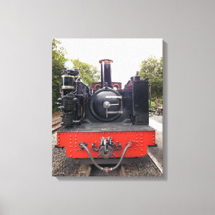 STEAM TRAINS CANVAS PRINT