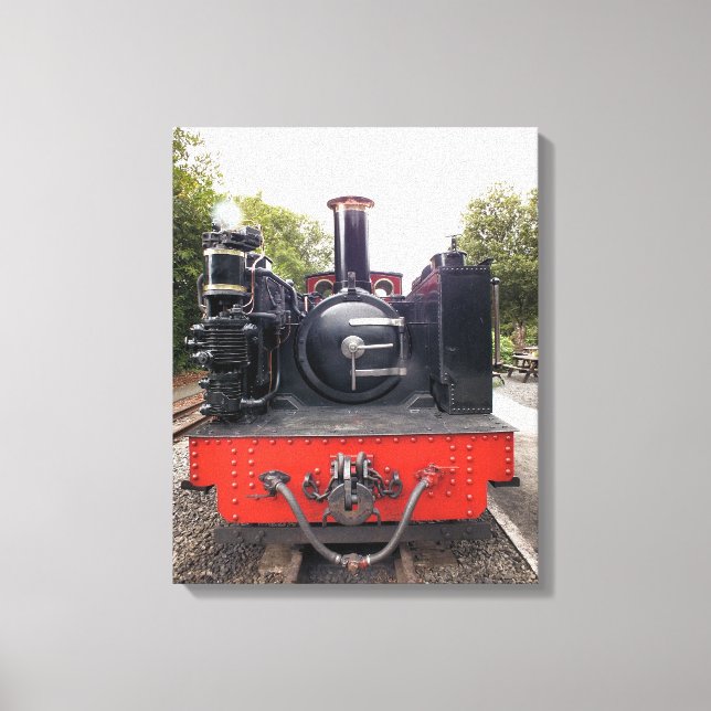 STEAM TRAINS CANVAS PRINT (Front)