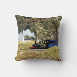 STEAM TRAINS CUSHION