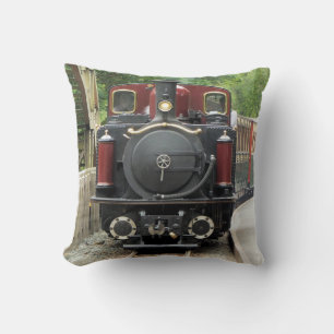 STEAM TRAINS CUSHION