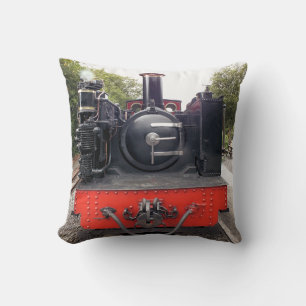 STEAM TRAINS CUSHION