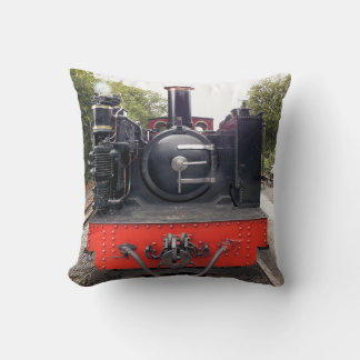 STEAM TRAINS CUSHION
