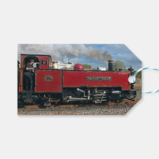 STEAM TRAINS GIFT TAGS