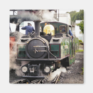 STEAM TRAINS MAGNET