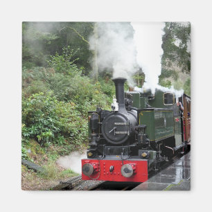 STEAM TRAINS MAGNET