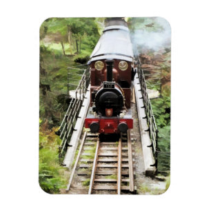 STEAM TRAINS MAGNET