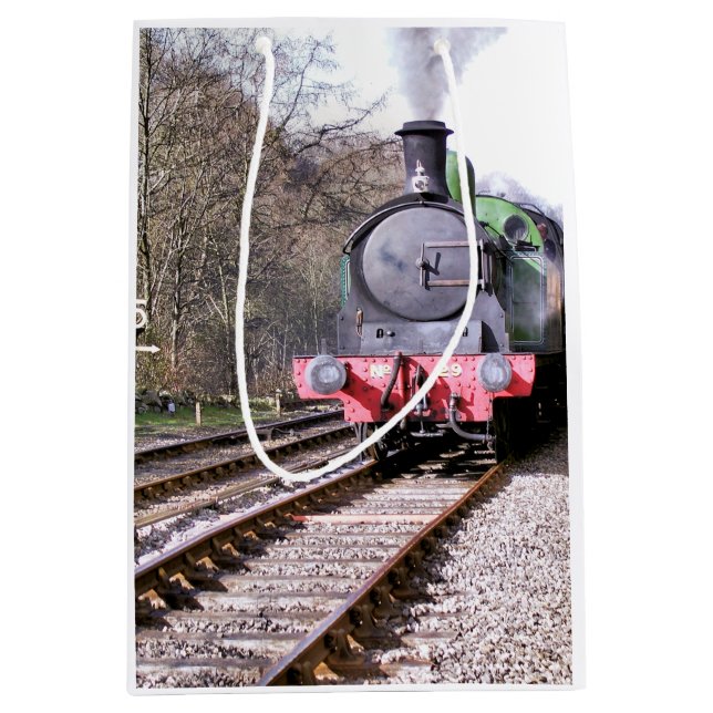 STEAM TRAINS MEDIUM GIFT BAG (Front)