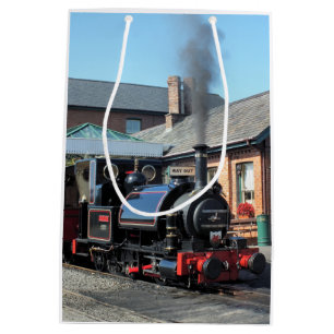 STEAM TRAINS MEDIUM GIFT BAG