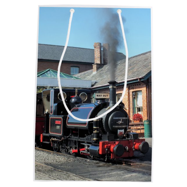 STEAM TRAINS MEDIUM GIFT BAG (Back)