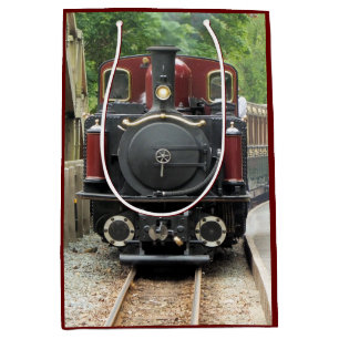 STEAM TRAINS MEDIUM GIFT BAG