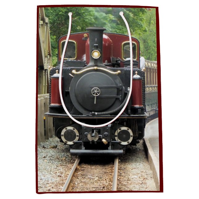 STEAM TRAINS MEDIUM GIFT BAG (Front)