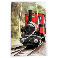 STEAM TRAINS