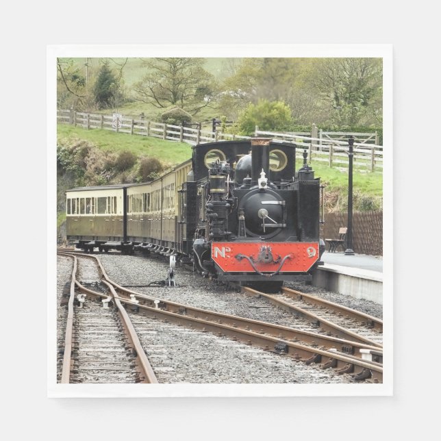STEAM TRAINS NAPKIN (Front)
