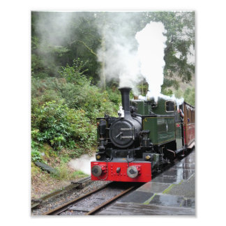 STEAM TRAINS PHOTO PRINT