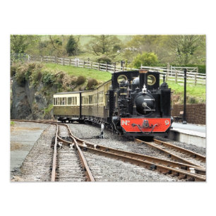 STEAM TRAINS PHOTO PRINT