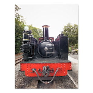 STEAM TRAINS PHOTO PRINT