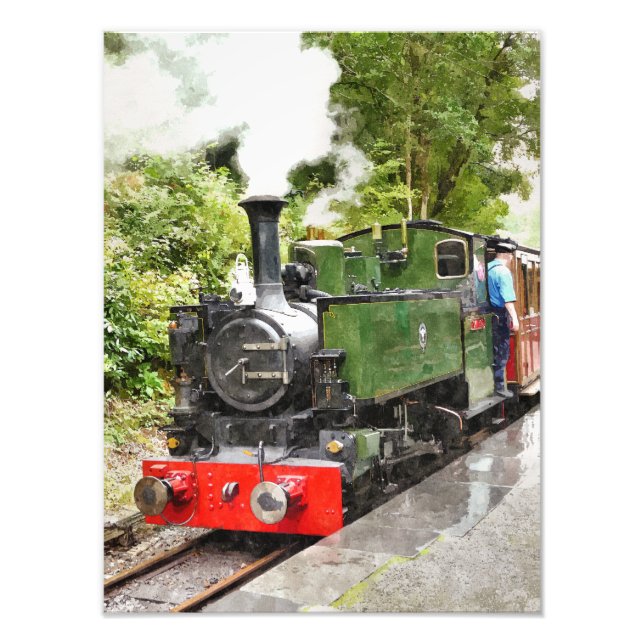 STEAM TRAINS PHOTO PRINT (Front)