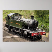 STEAM TRAINS