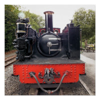 STEAM TRAINS