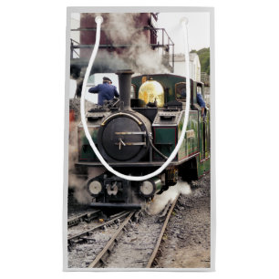 STEAM TRAINS SMALL GIFT BAG