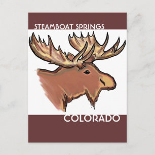Steamboat Springs Colorado brown moose postcard
