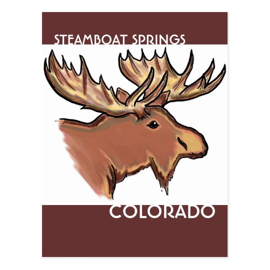 Steamboat Springs Colorado brown moose postcard