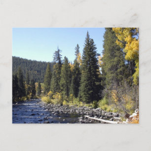 Steamboat Springs, Colorado Postcard