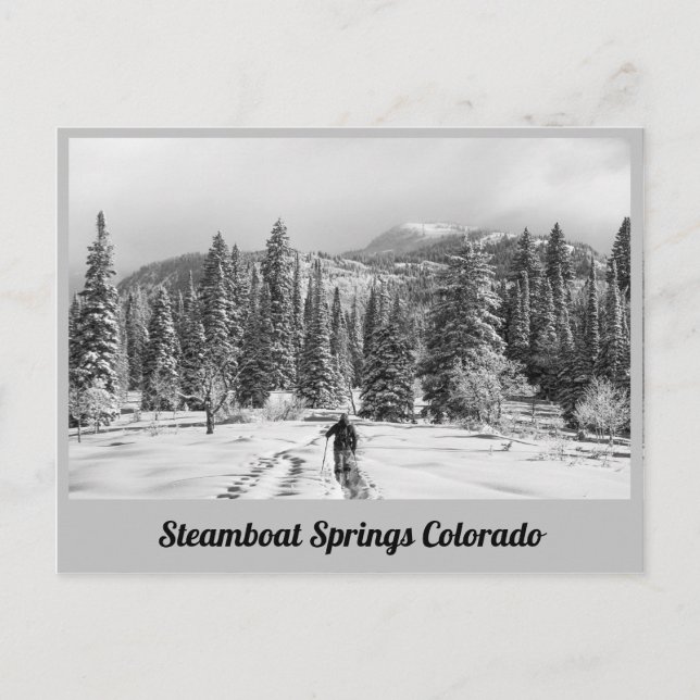 Steamboat Springs - Colorado Postcard (Front)