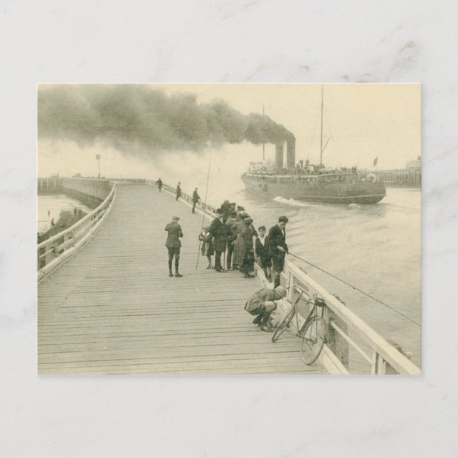Steamer The Mailboat from Dover to Ostend Postcard (Front)