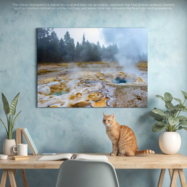 Steaming Beauty: A Yellowstone Geyser Eruption Canvas Print (Creator Uploaded)