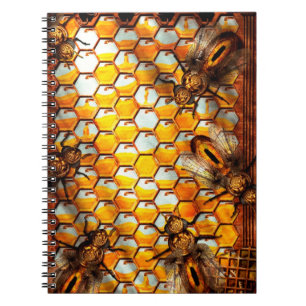 Steampunk - Apiary - The hive Notebook